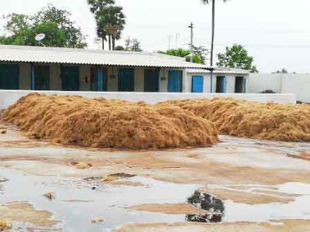 Sri Jayanthi Coirs Coco Peat Manufacturing Factory
